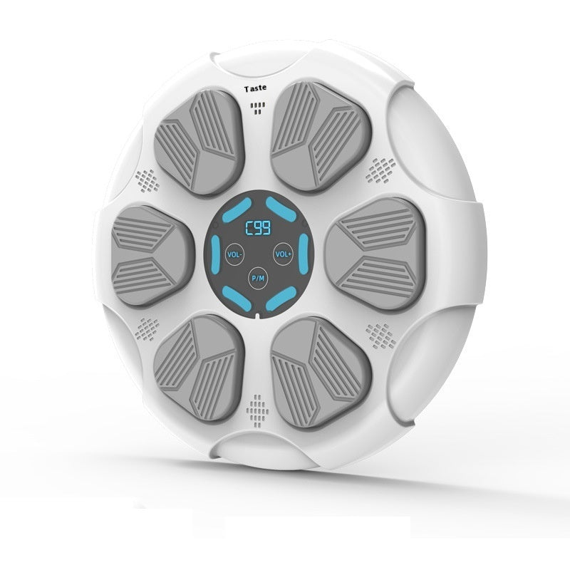 Bluetooth Boxing Target