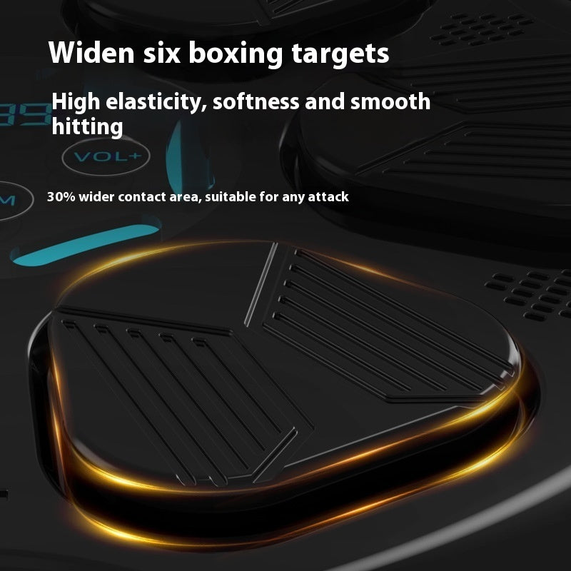 Bluetooth Boxing Target