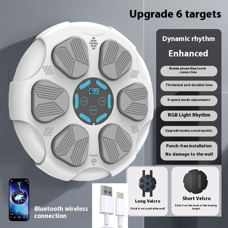 Bluetooth Boxing Target